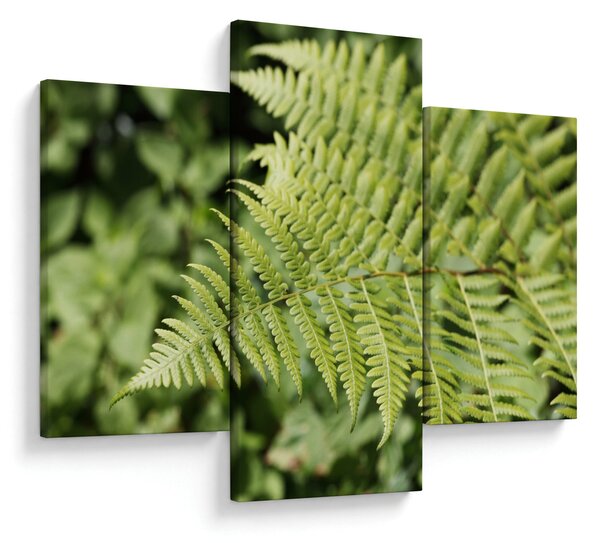 Slika - List paprati (90x60 cm)