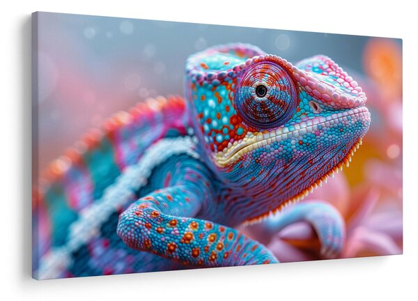Slika - Šareni kameleon (90x60 cm)