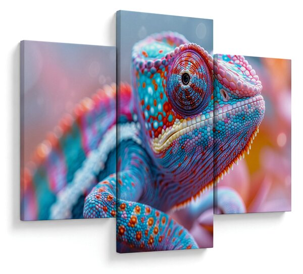 Slika - Šareni kameleon (90x60 cm)