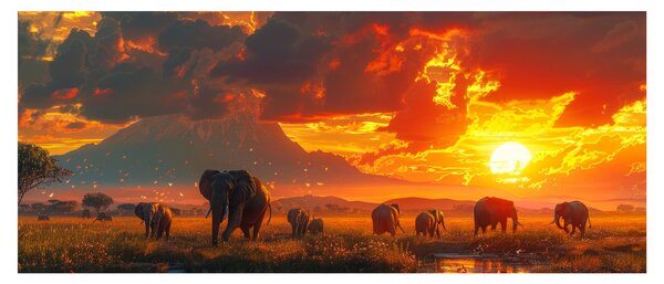 Slika - Krdo slonova (120x50 cm)