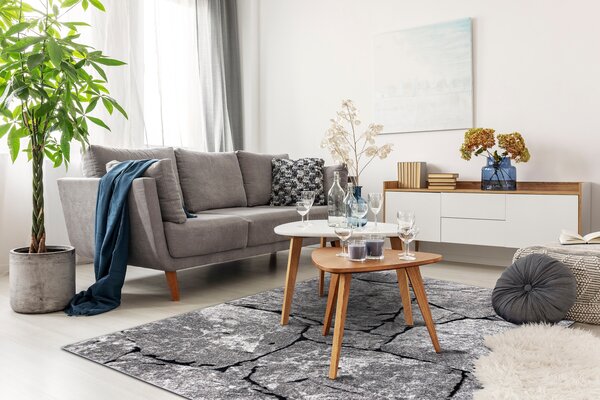 Tepih moderna COZY 8985 Brick asfaltiranje, kamen - Strukturne, dvije razine flora Siva