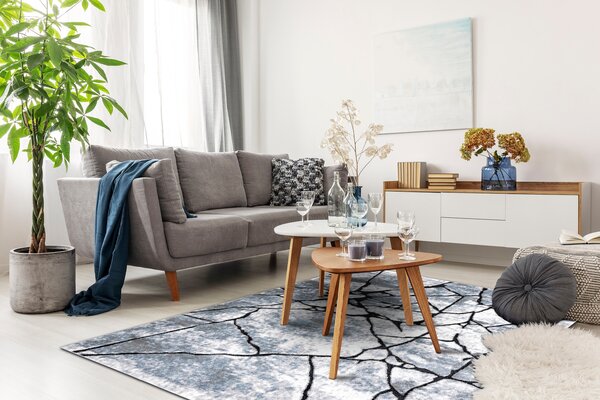 Tepih moderna COZY 8873 Cracks Puknuti beton - Strukturne, dvije razine flora svijetla Siva / plava