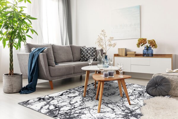 Tepih moderna COZY 8871 Marble, Mramor - Strukturiran, dvije razine flora Siva
