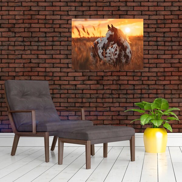 Slika - Konj pri zalasku sunca (70x50 cm)