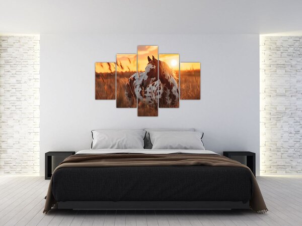 Slika - Konj pri zalasku sunca (150x105 cm)