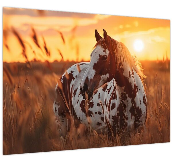 Slika - Konj pri zalasku sunca (70x50 cm)