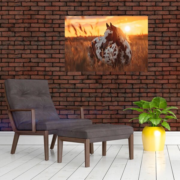 Slika - Konj pri zalasku sunca (90x60 cm)