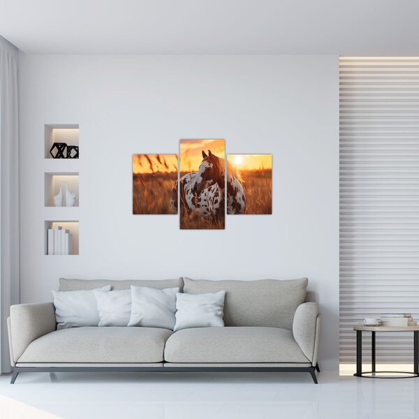 Slika - Konj pri zalasku sunca (90x60 cm)