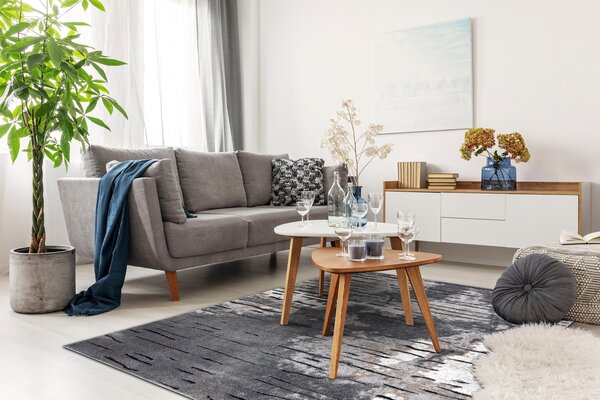 Tepih moderna COZY 8876 Rio - Strukturne, dvije razine flora Siva