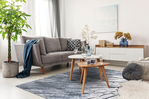 Tepih moderna COZY 8874 Timber, Drvo - Strukturne, dvije razine flora Siva / plava