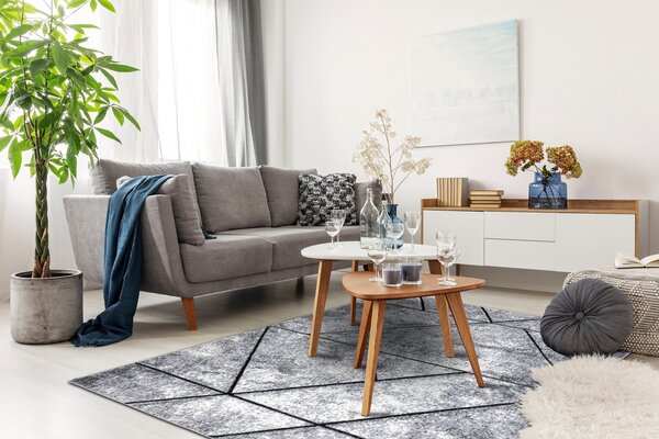 Tepih moderna COZY 8872 Wall, geometrijski, trokuti - Strukturne, dvije razine flora Siva / plava