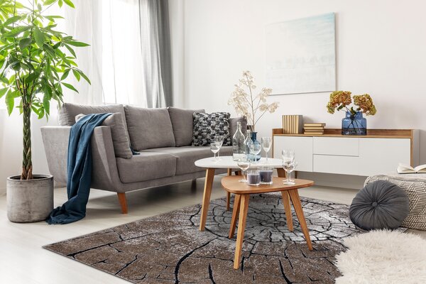 Tepih moderna COZY 8875 Drvo, deblo - Strukturne, dvije razine flora smeđa