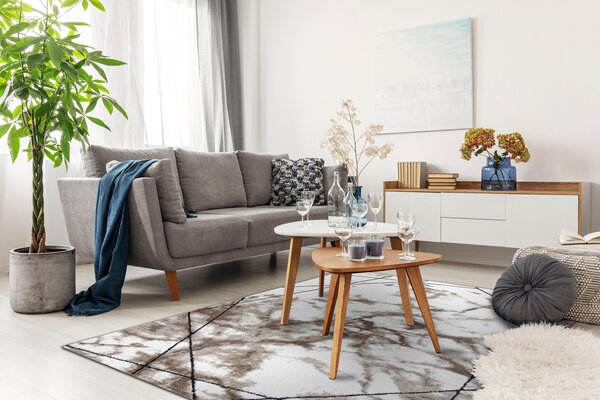 Tepih moderna COZY Lina, geometrijski, mramor - Strukturne, dvije razine flora smeđa