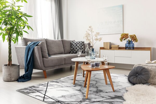 Tepih moderna COZY Lina, geometrijski, mramor - Strukturne, dvije razine flora Siva