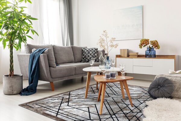 Tepih moderna COZY Tico, geometrijski - Strukturne, dvije razine flora smeđa