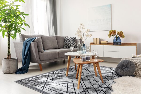 Tepih moderna COZY Tico, geometrijski - Strukturne, dvije razine flora Siva
