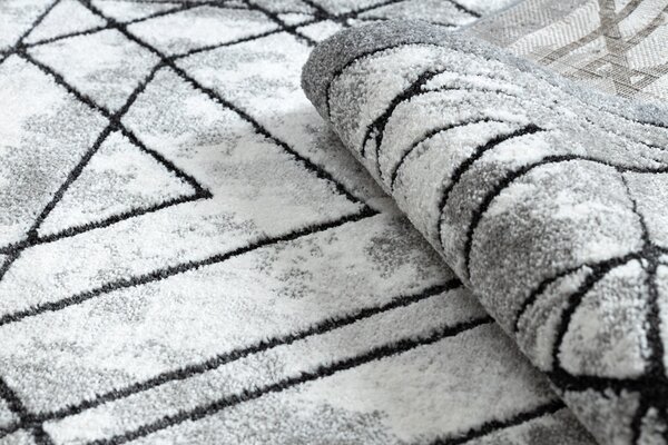 Tepih moderna COZY Tico, geometrijski - Strukturne, dvije razine flora Siva