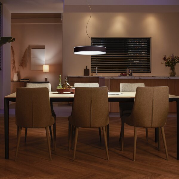 Viseće Svjetiljka Philips Hue, Philips Hue, prigušiv, Crno, Dnevna soba, Metal, Moderan