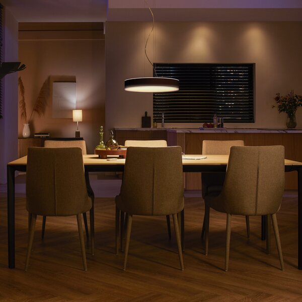 Viseće Svjetiljka Philips Hue, Philips Hue, prigušiv, Crno, Dnevna soba, Metal, Moderan