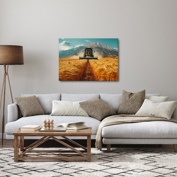 Slika - Seljak (70x50 cm)