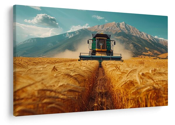 Slika - Seljak (90x60 cm)