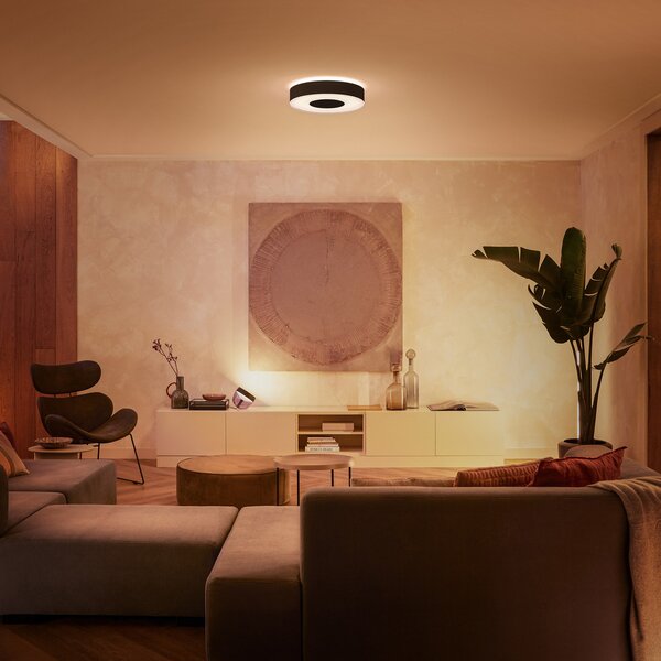 Stropne Svjetiljka Philips Hue, Philips Hue, prigušiv, Crno, Dnevna soba, Metal, Moderan
