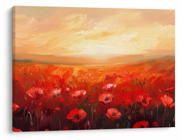 Slika - Polje makova (70x50 cm)