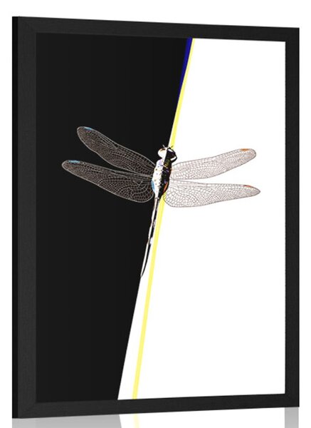 Plakat ljepota vilinskog konjica