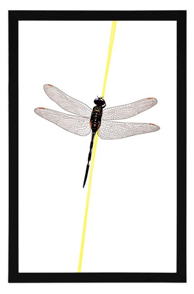 Plakat čarolija vilinskog konjica