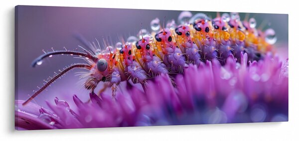 Slika - Gusjenica (120x50 cm)
