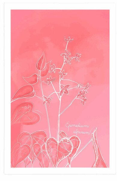 Plakat biljka Epimedium alpinum koja oduzima dah