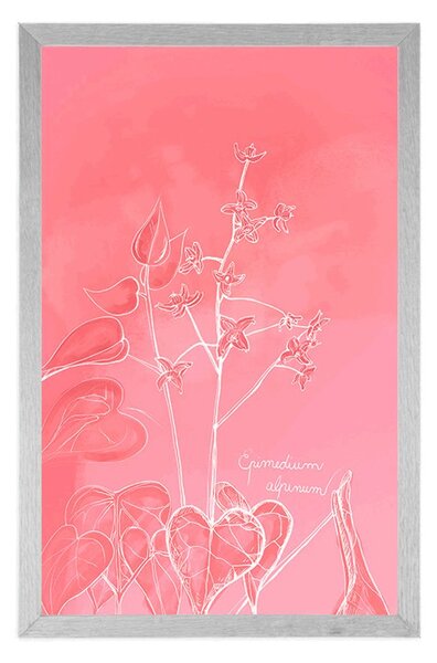 Plakat biljka Epimedium alpinum koja oduzima dah