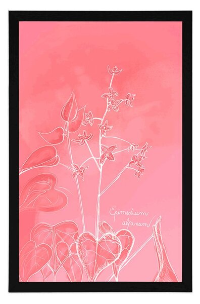 Plakat biljka Epimedium alpinum koja oduzima dah