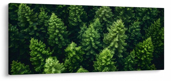 Slika - Šuma (120x50 cm)