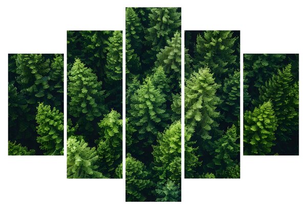 Slika - Šuma (150x105 cm)