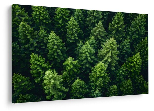 Slika - Šuma (90x60 cm)