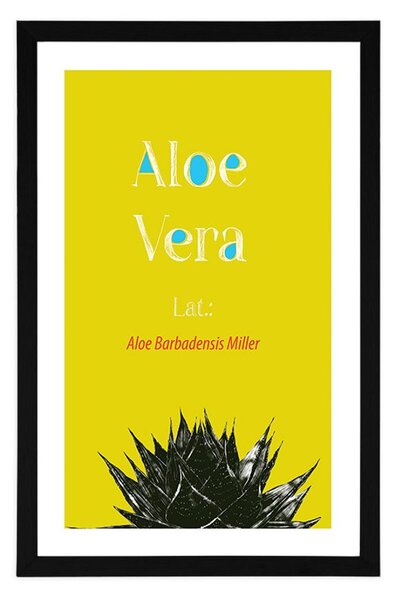 Plakat s paspartuom čudesna Aloe Vera