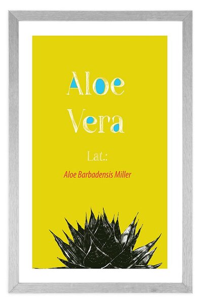 Plakat s paspartuom čudesna Aloe Vera