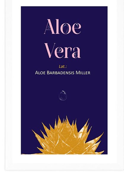 Plakat s paspartuom i natpisom Aloe Vera