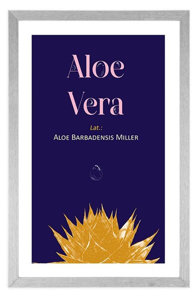 Plakat s paspartuom i natpisom Aloe Vera