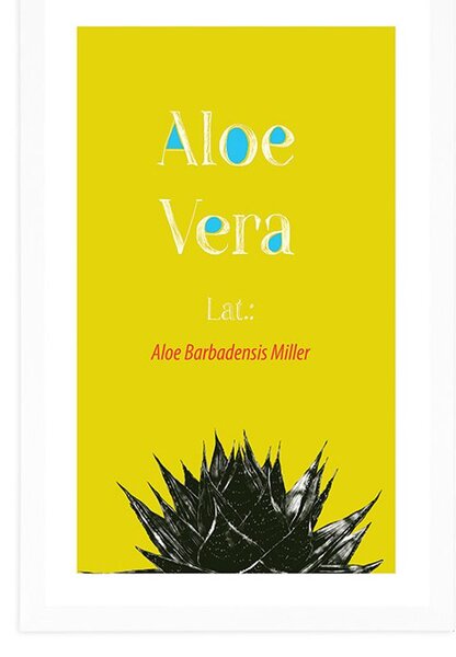 Plakat s paspartuom čudesna Aloe Vera