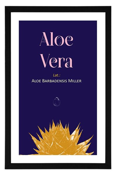 Plakat s paspartuom i natpisom Aloe Vera