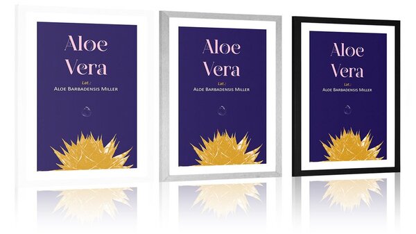 Plakat s paspartuom i natpisom Aloe Vera