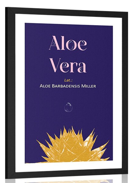 Plakat s paspartuom i natpisom Aloe Vera