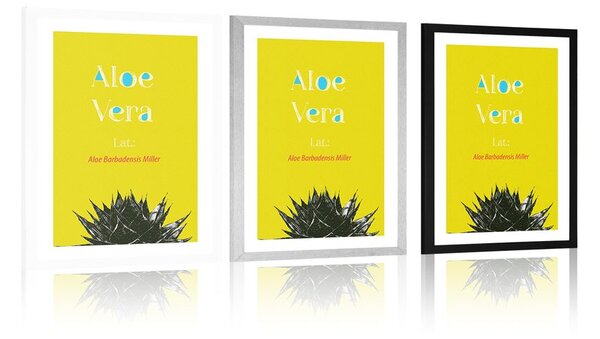 Plakat s paspartuom čudesna Aloe Vera