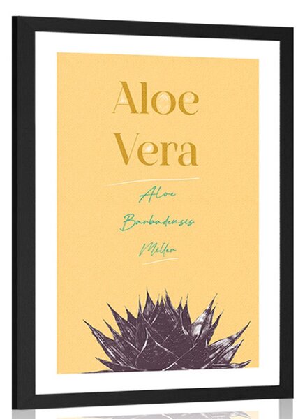 Plakat s paspartuom i stilskim natpisom Aloe Vera