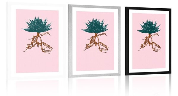 Plakat s paspartuom izvanredna Aloe Vera