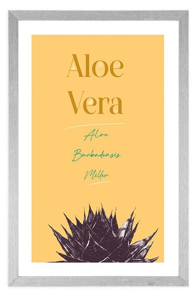 Plakat s paspartuom i stilskim natpisom Aloe Vera