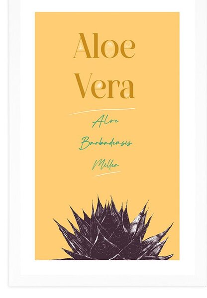 Plakat s paspartuom i stilskim natpisom Aloe Vera