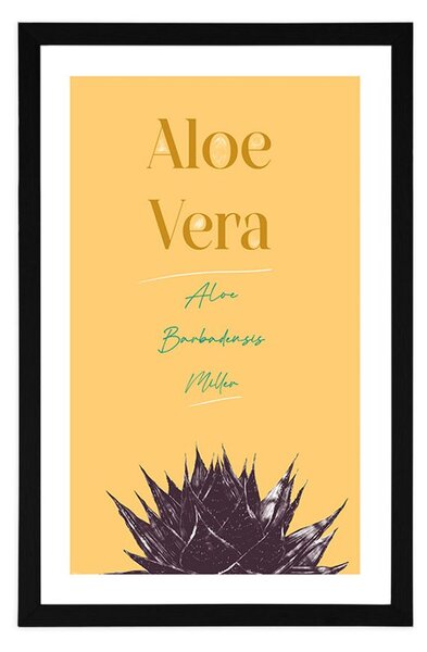 Plakat s paspartuom i stilskim natpisom Aloe Vera
